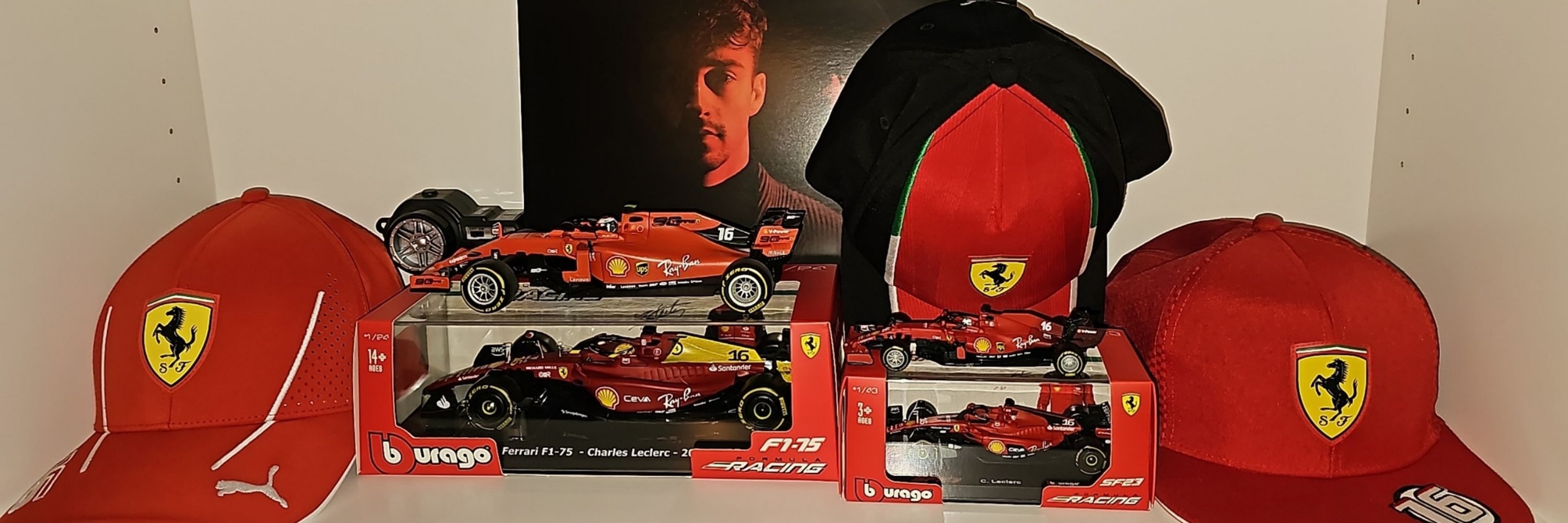 f1rookie16.tifosi.social header image