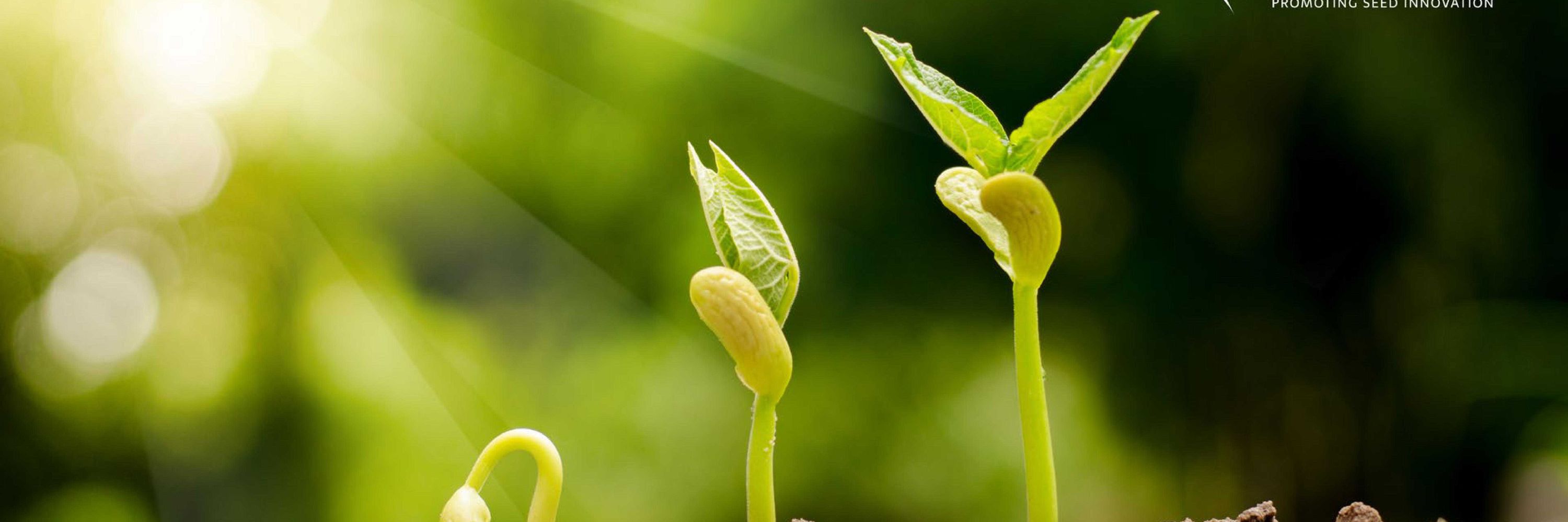 British Society of Plant Breeders