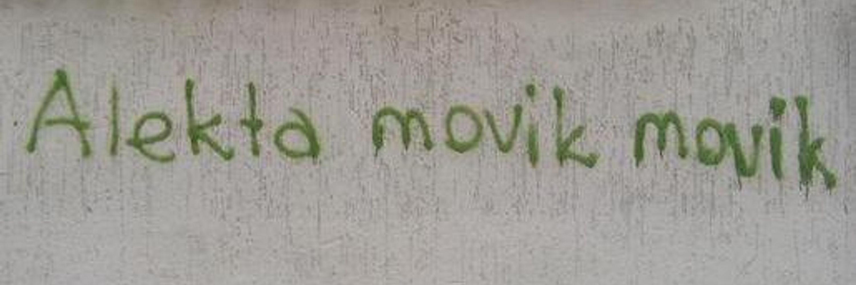 Selen Hayal