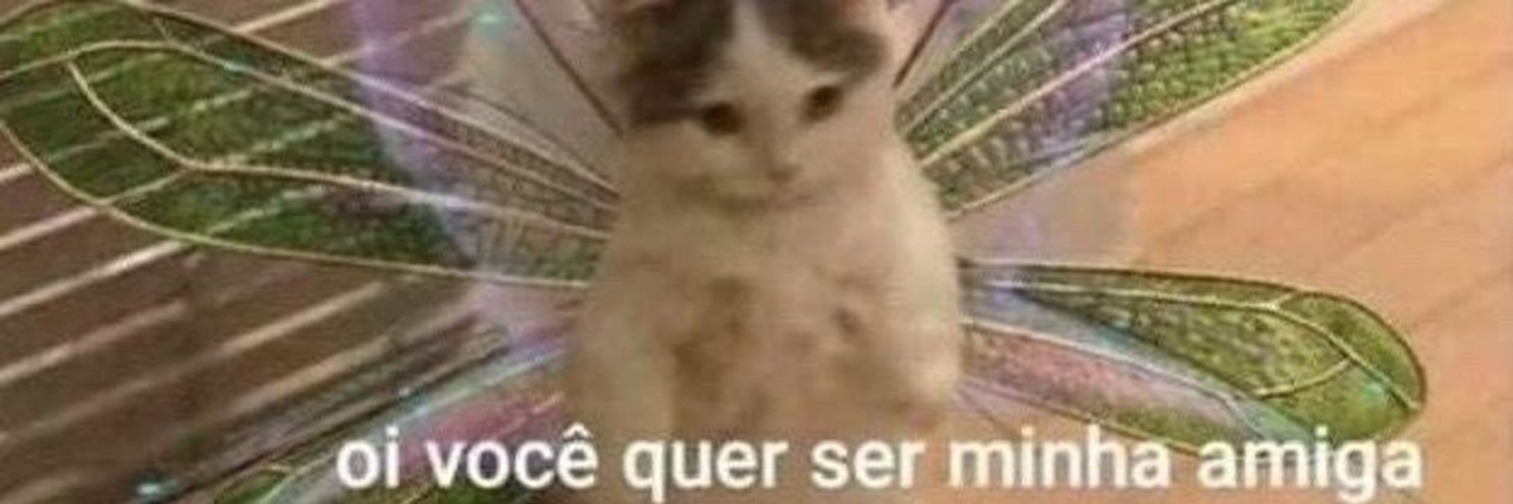 Catiele Marques 🐈‍⬛