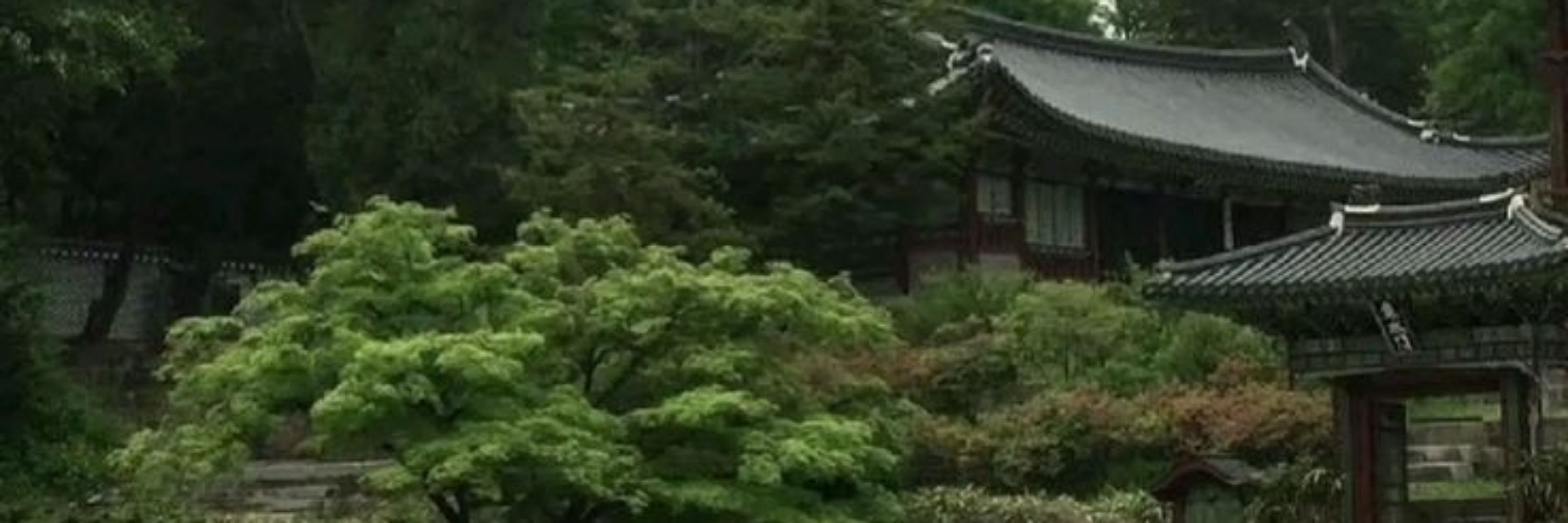 Shí Xīntuō | 时 心托