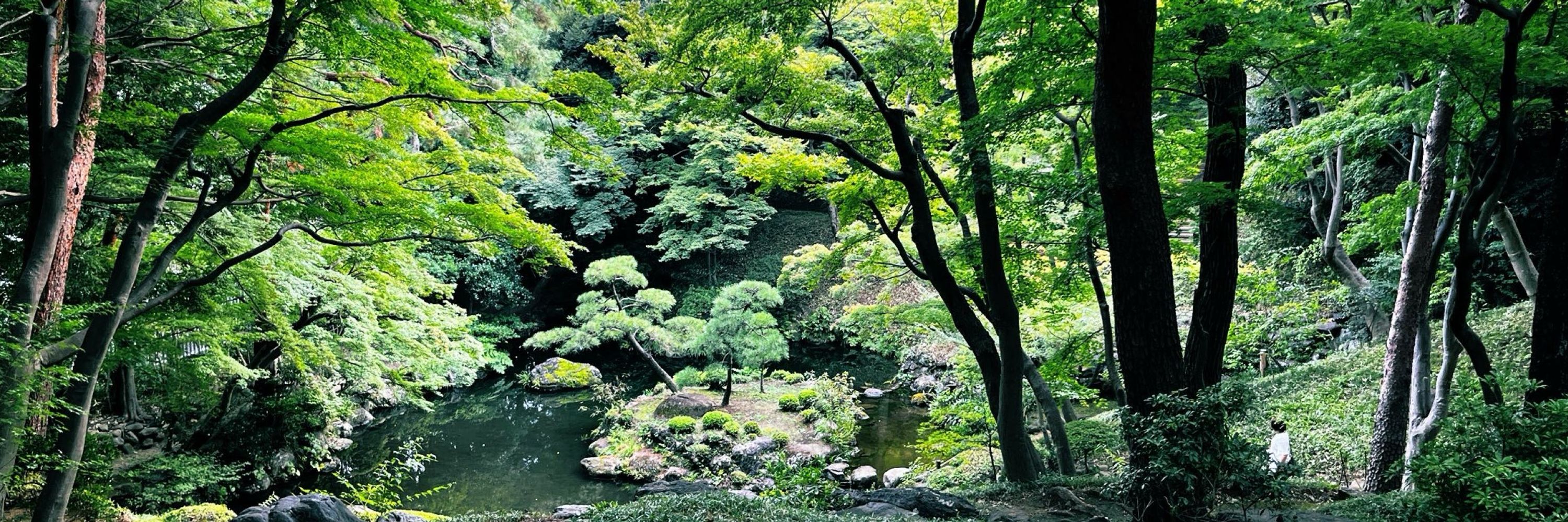 端倉ジル