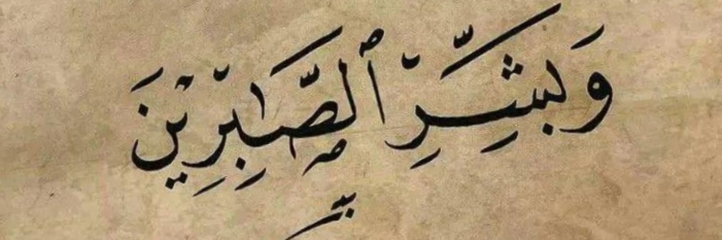محمد المقدم