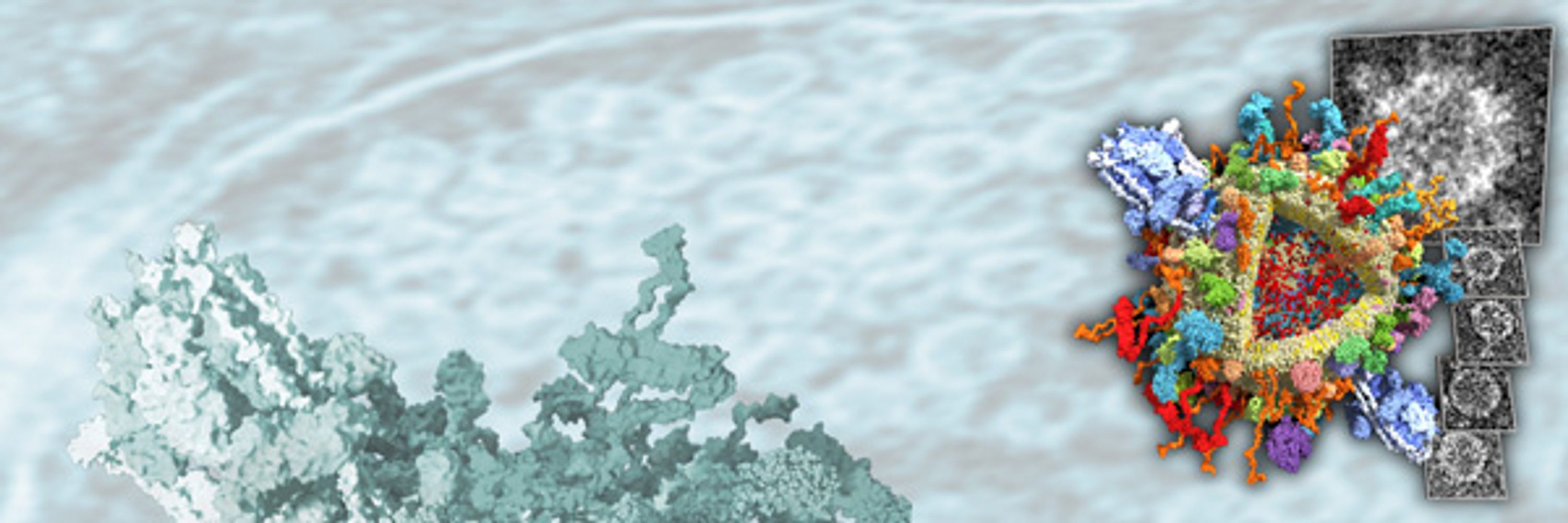 CompBioPhys