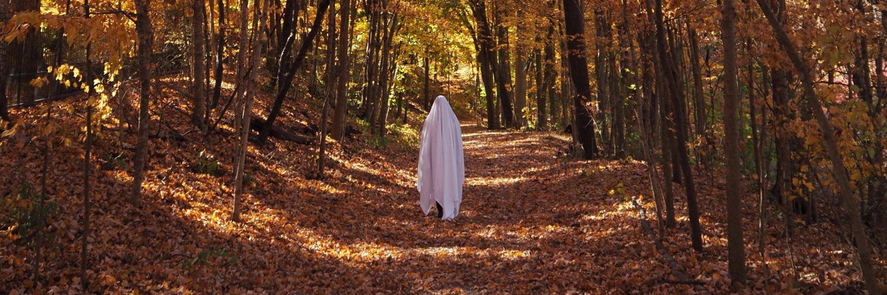 Notebook of Ghosts