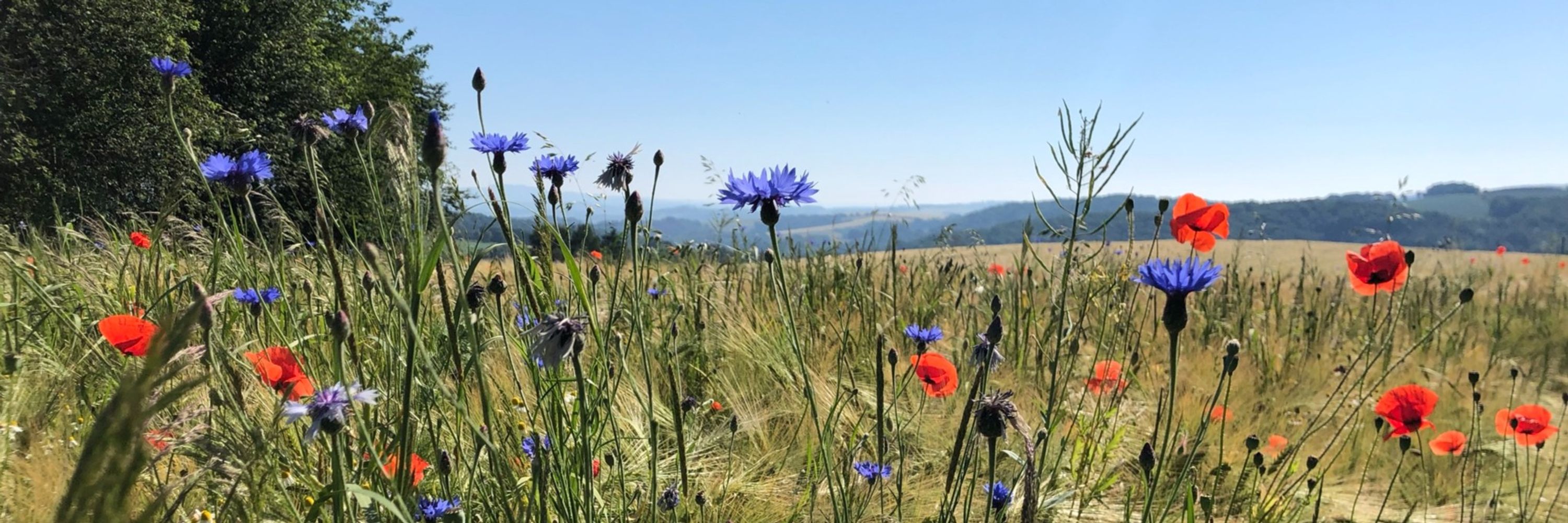 Functional Agrobiodiversity & Agroecology