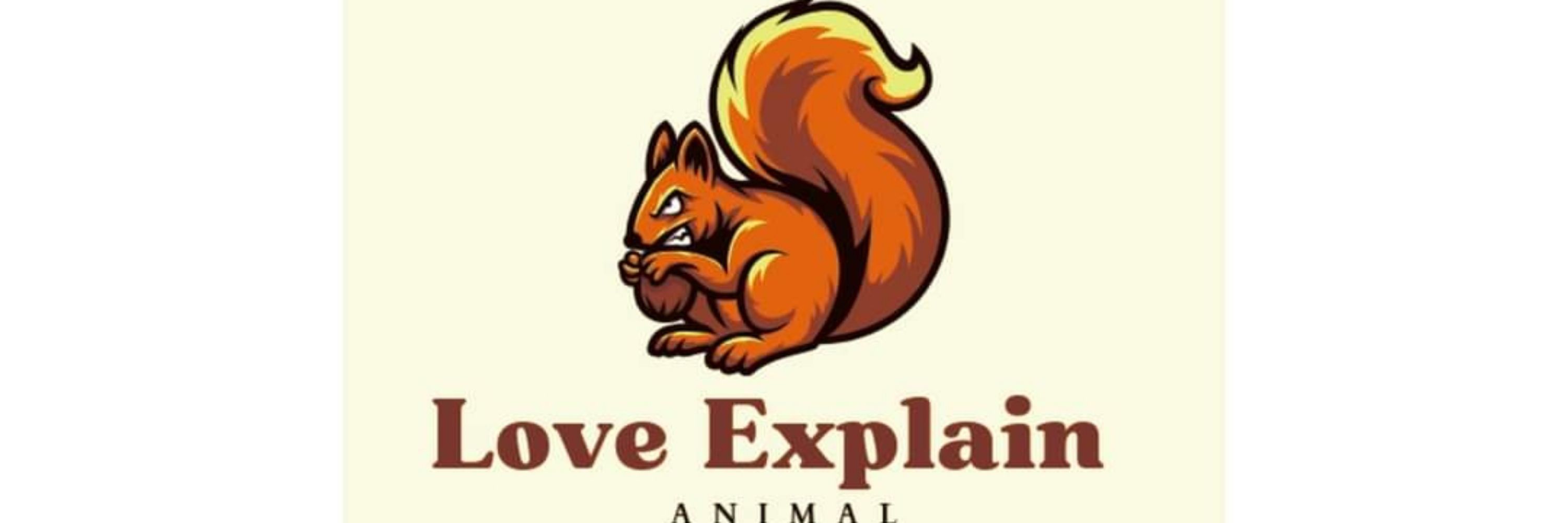 Love Explain