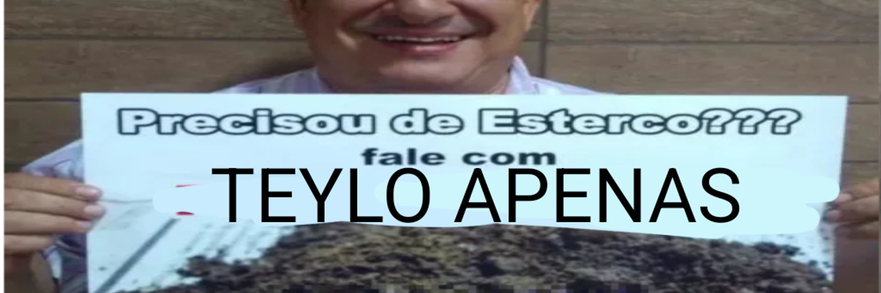 Teylo Apenas