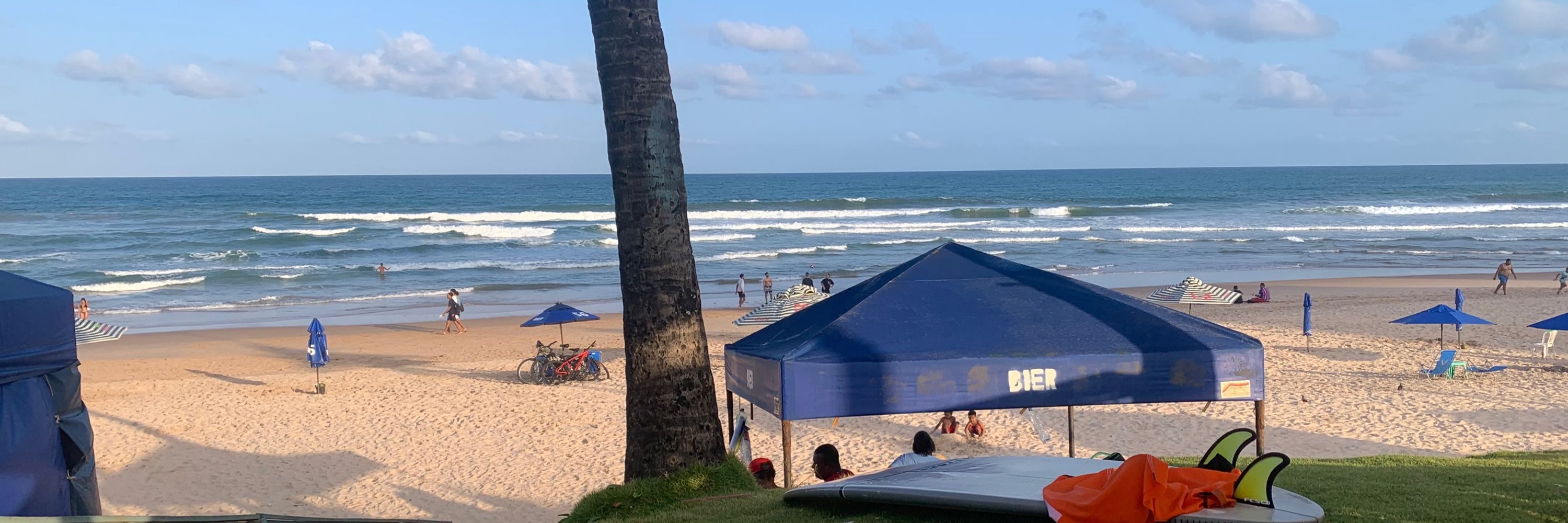 sonho de valsa 
