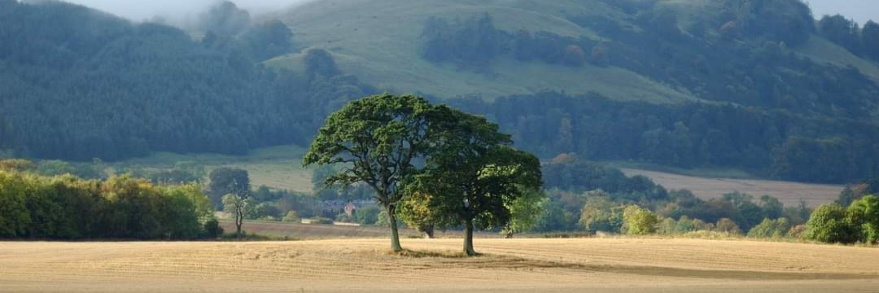 Iain Mackinnon