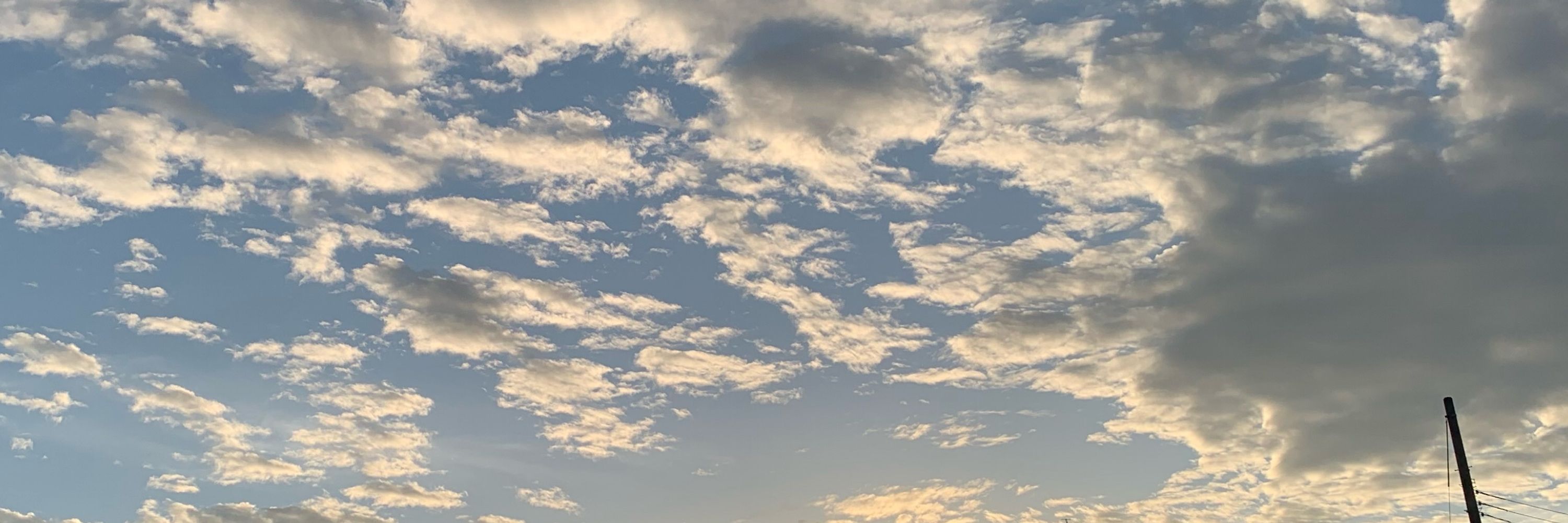 白湯