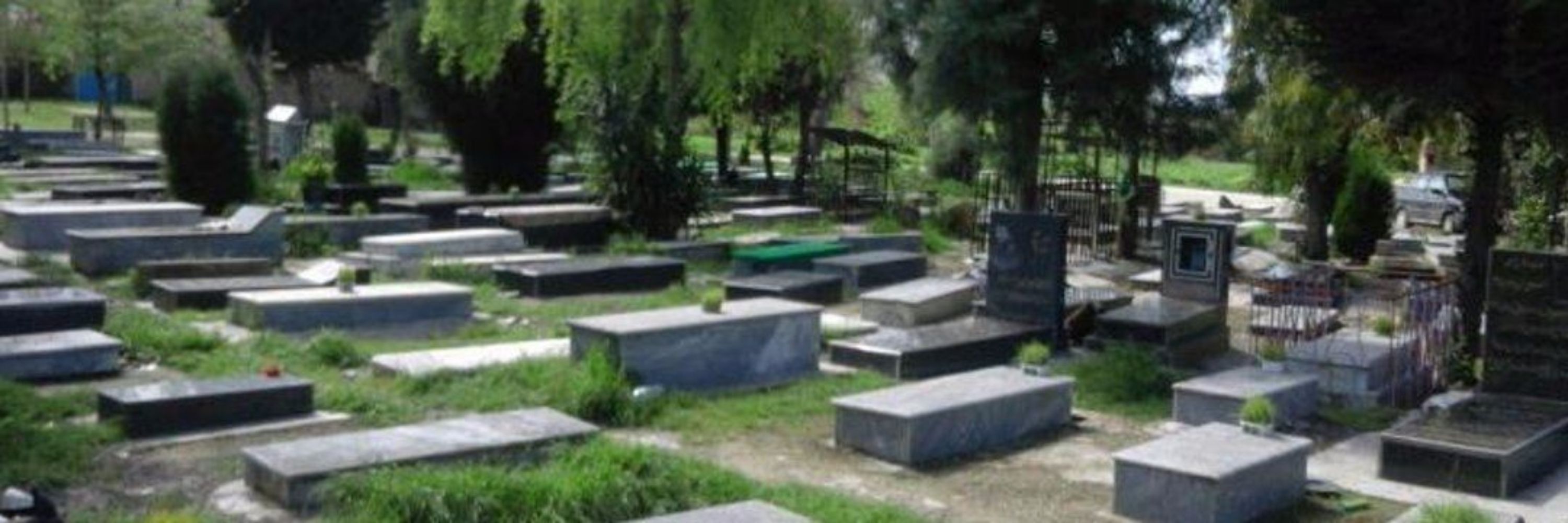 ماهی سیاه