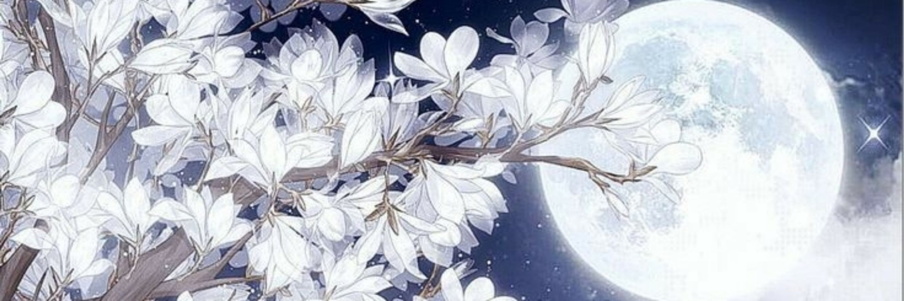⋆｡ﾟ☁︎｡⋆｡ ﾟ☾ ﾟ｡⋆𝑺𝑻𝑰𝑳𝑳 𝑫𝑹𝑬𝑨𝑴