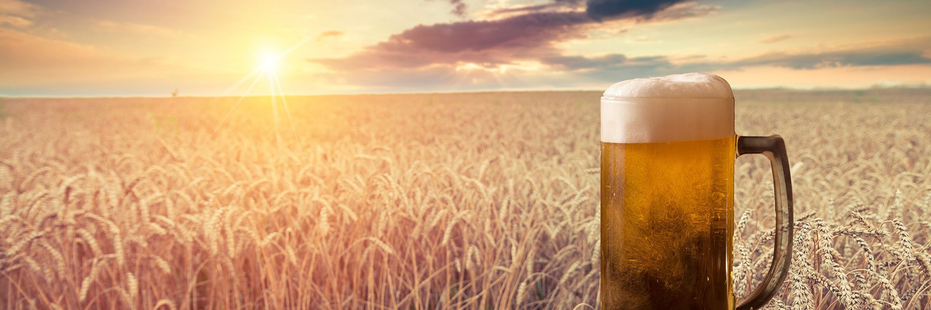 Beer Canada