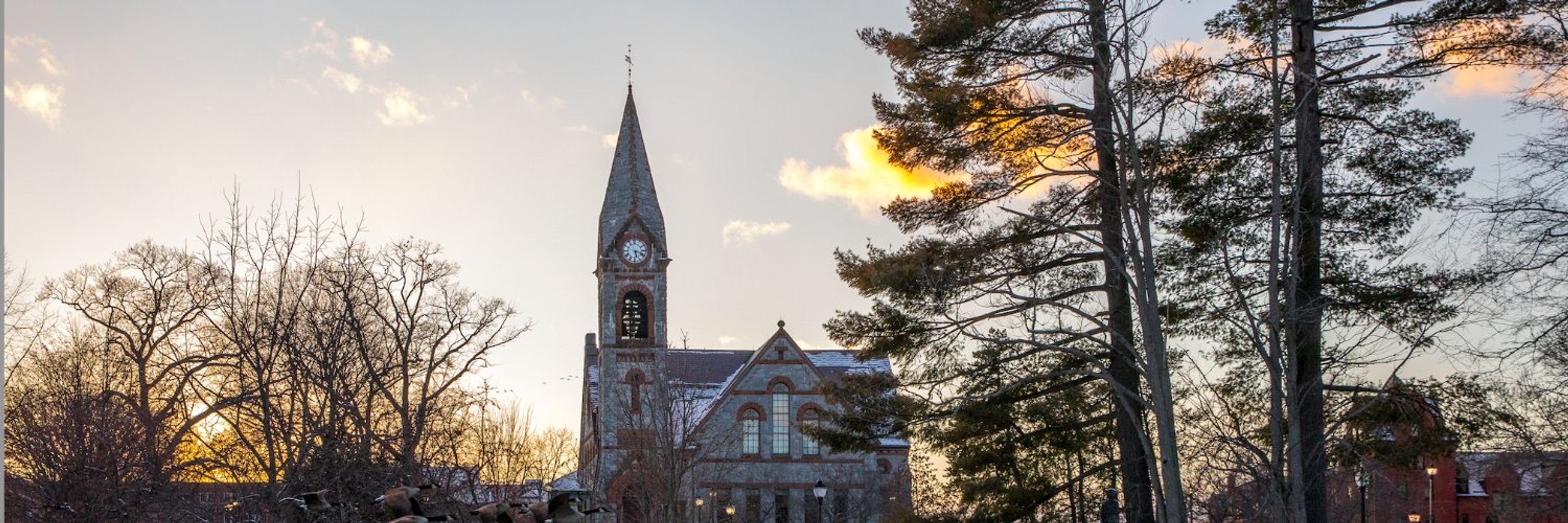 UMass Amherst
