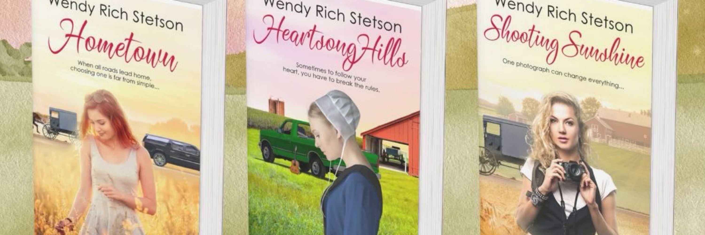 Wendy Rich Stetson, Author