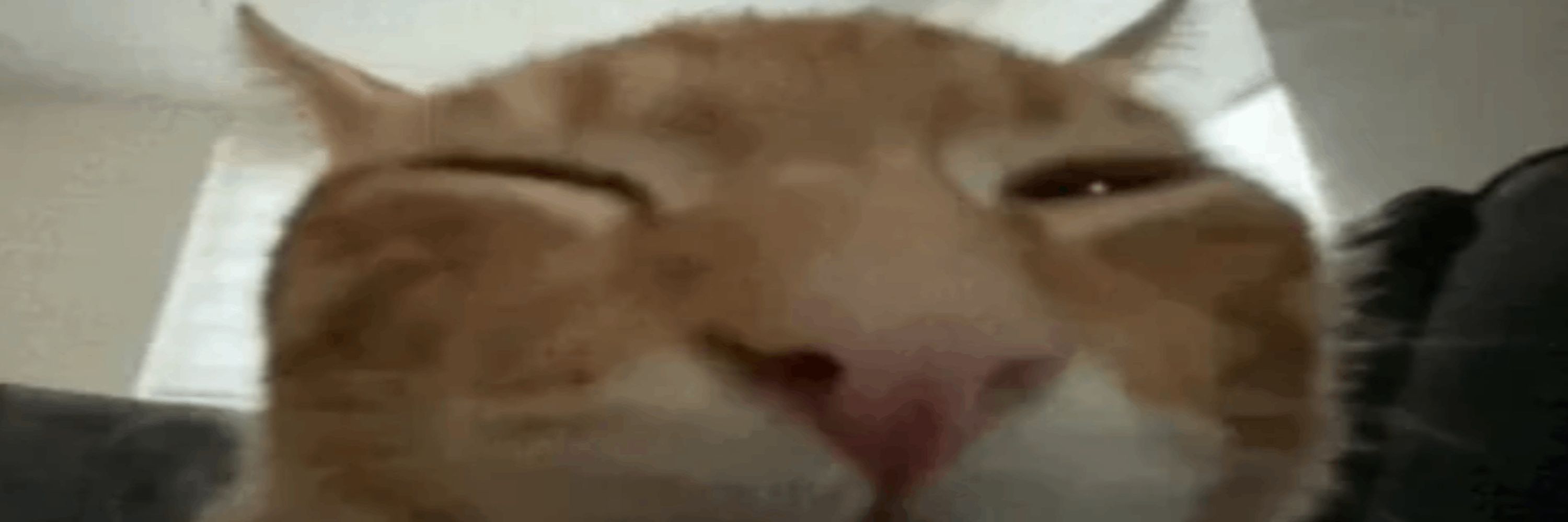 endigma