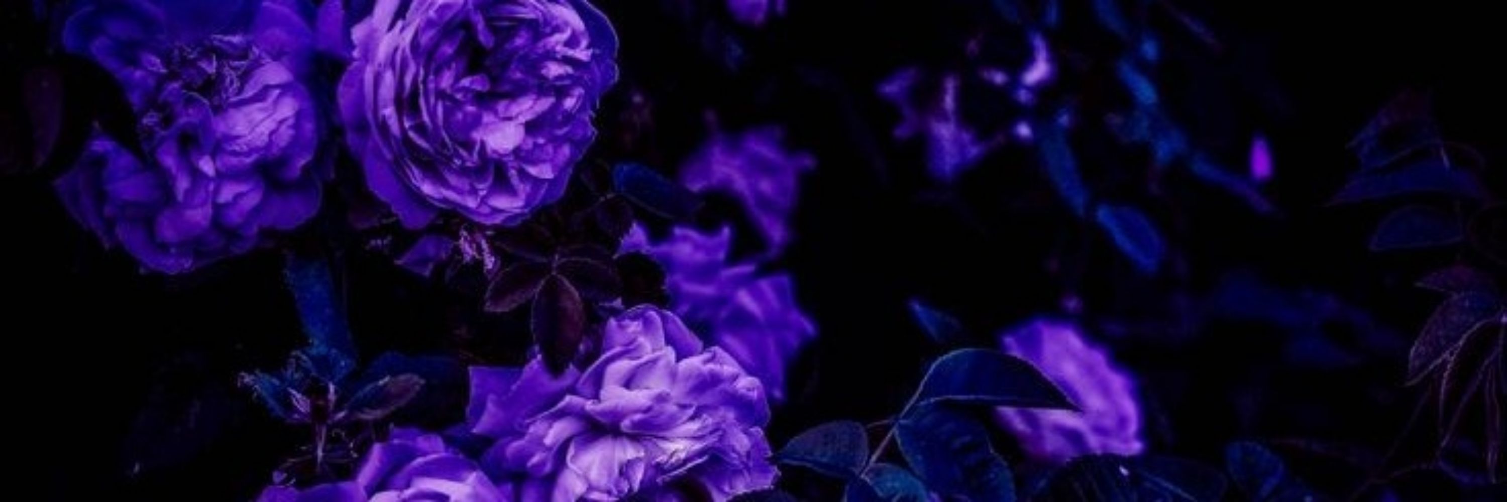 🥀 𝚰𐓣𝗄/𝐂𝗄 🔮⛓️
