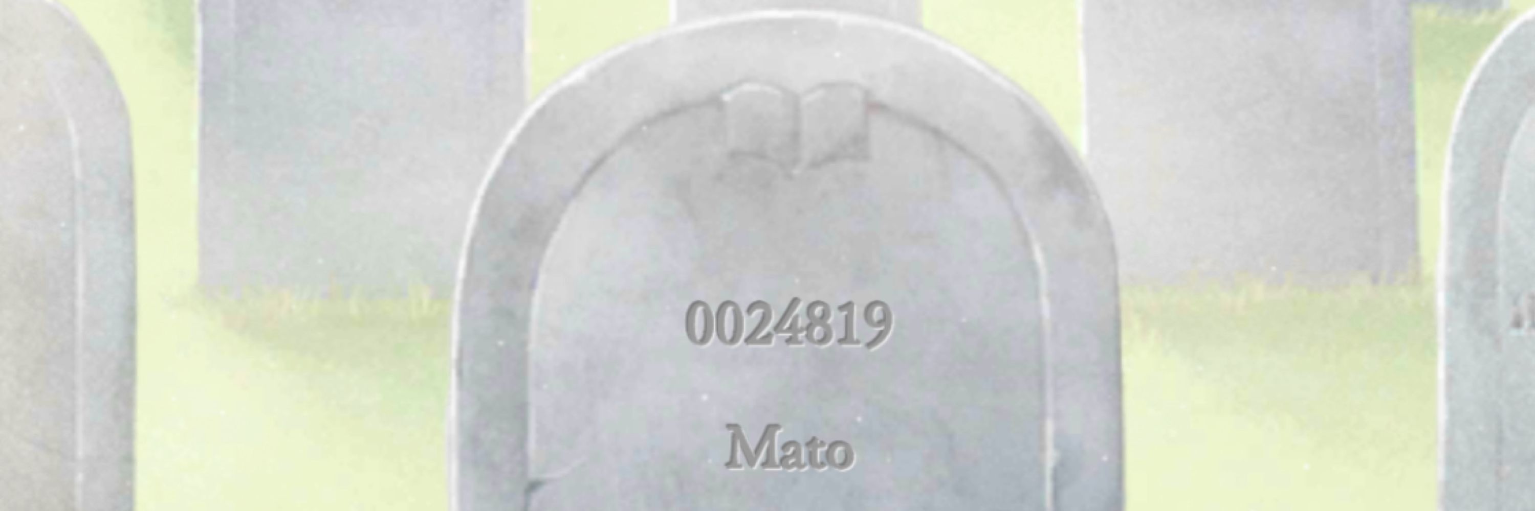 Mato