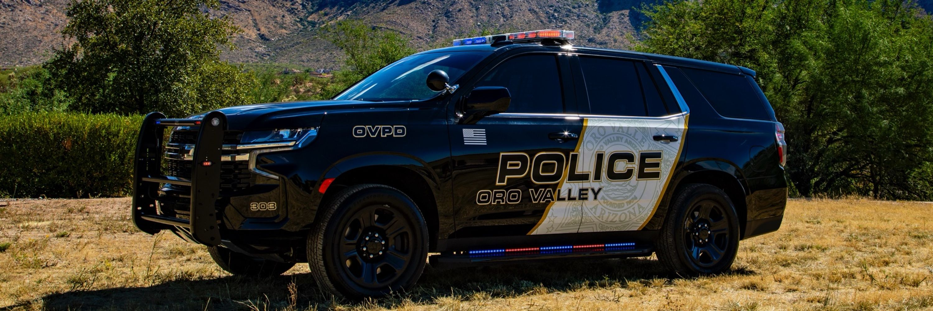 Oro Valley AZ Police
