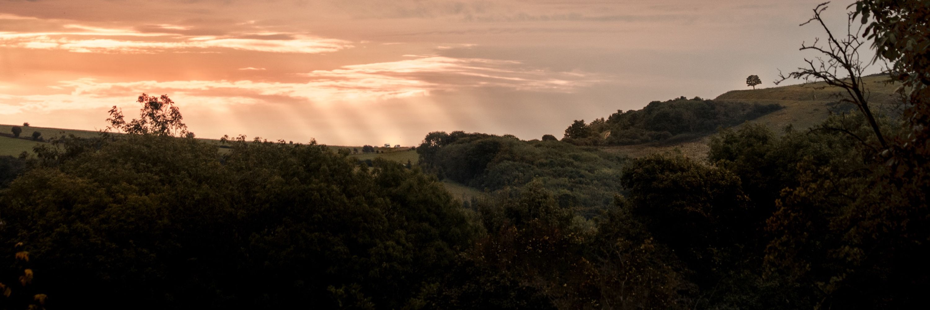 Mark Davies Photography