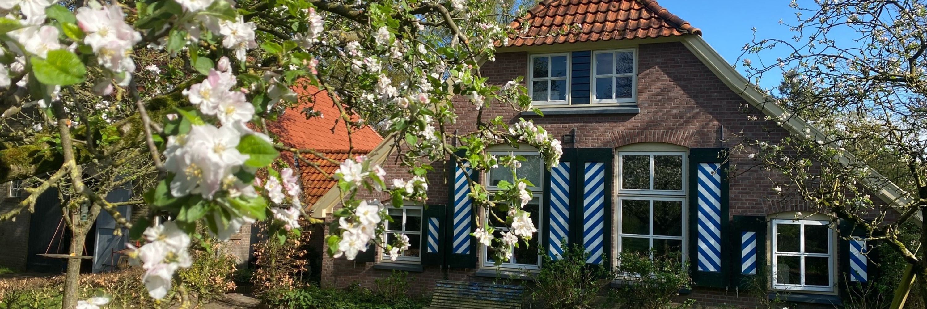 Menno Terlouw