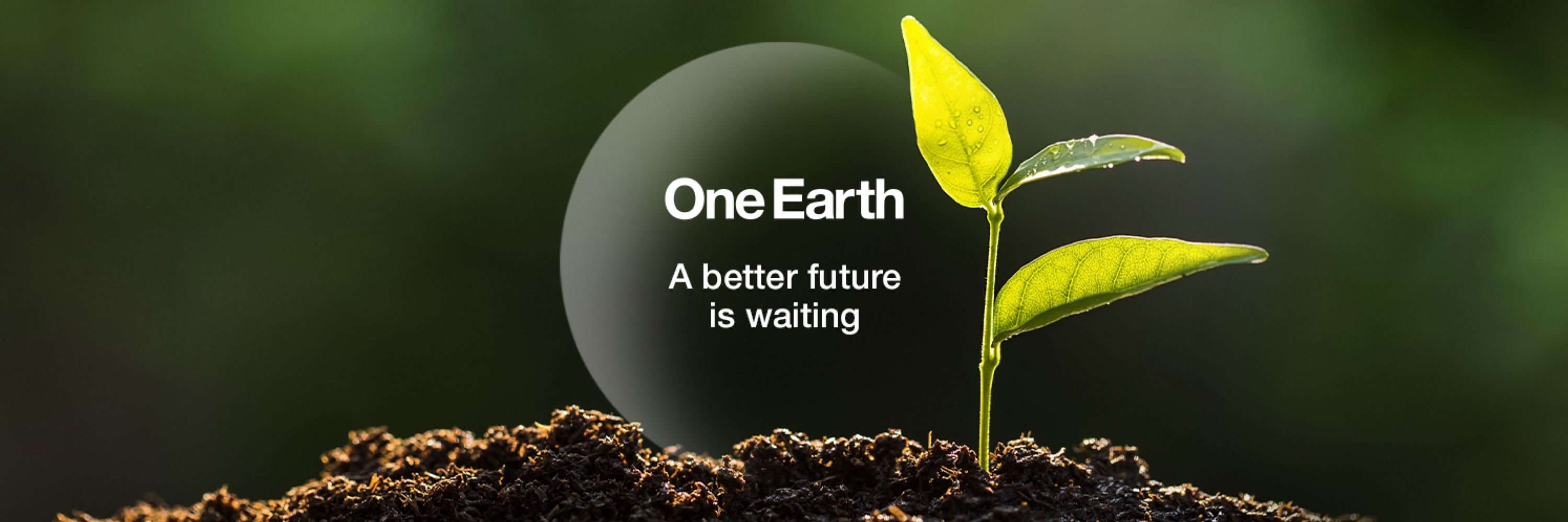 One Earth