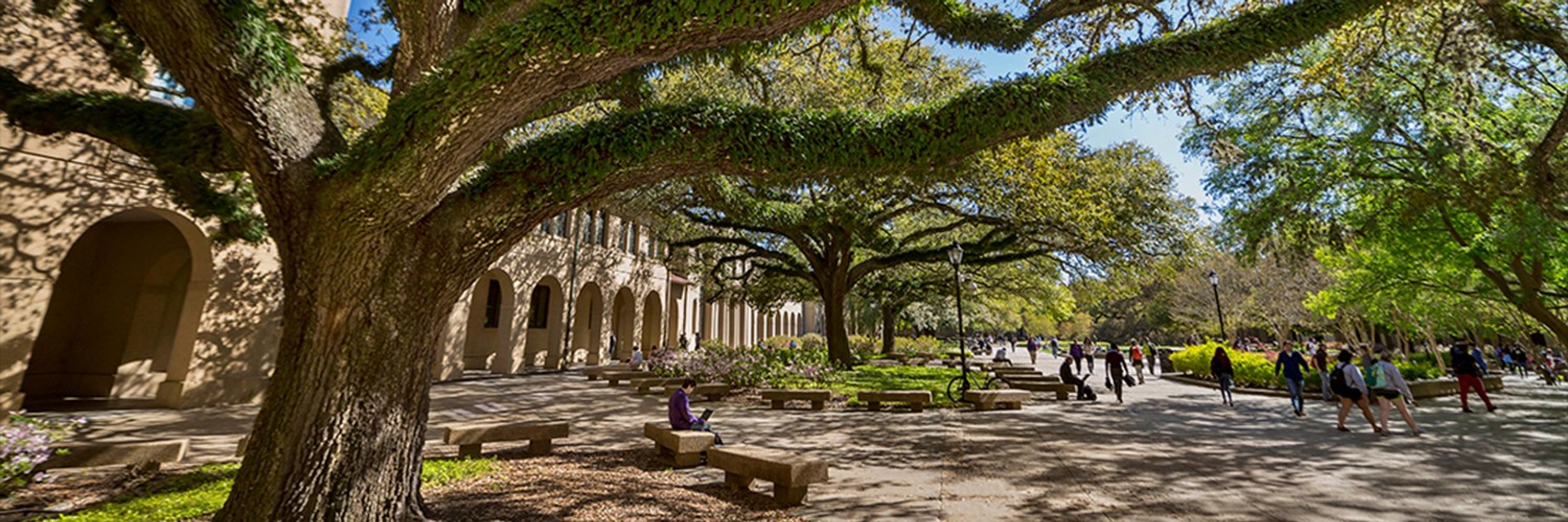 LSU