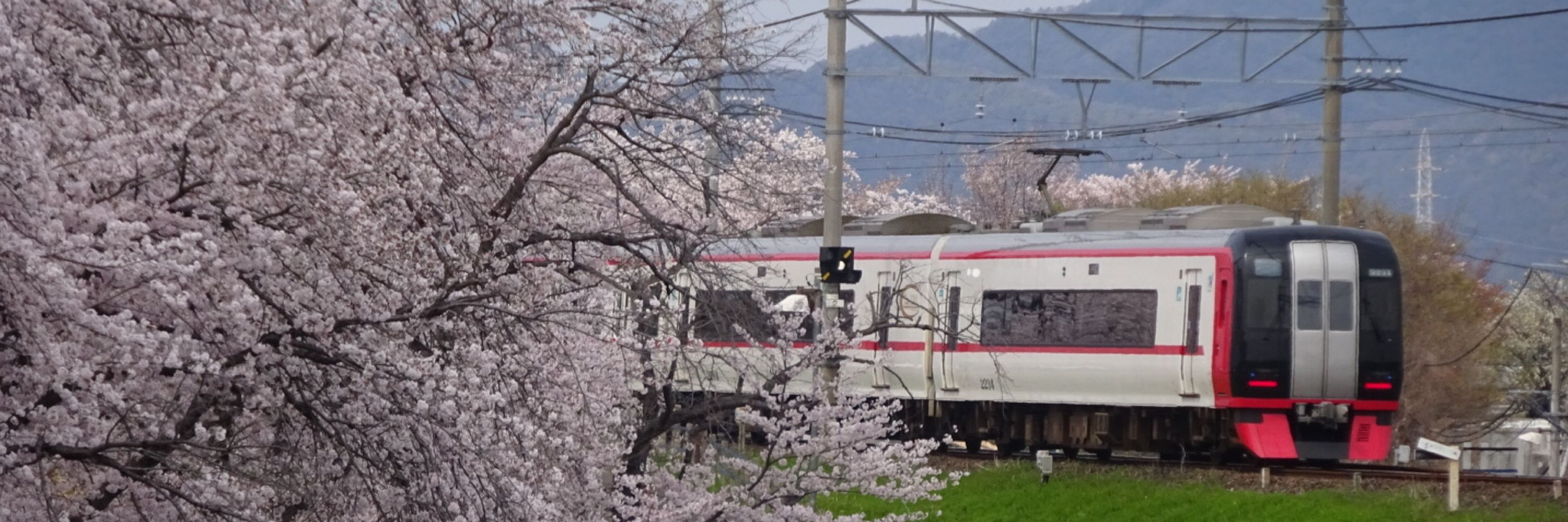 Series1200