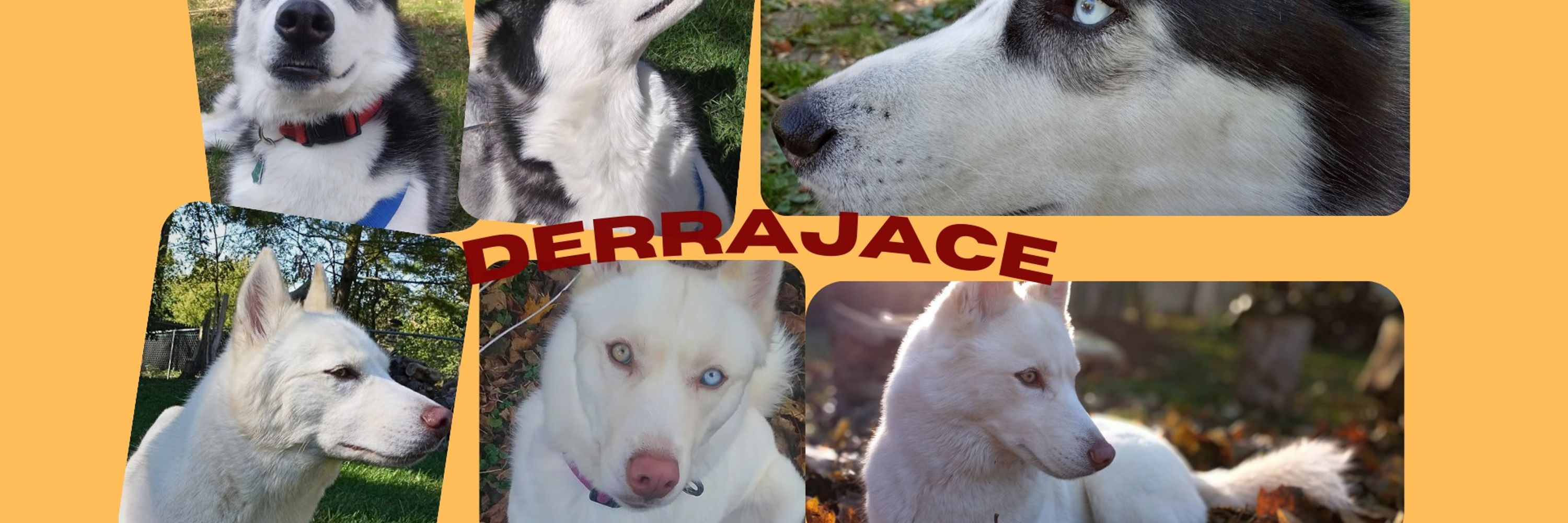 derrajace
