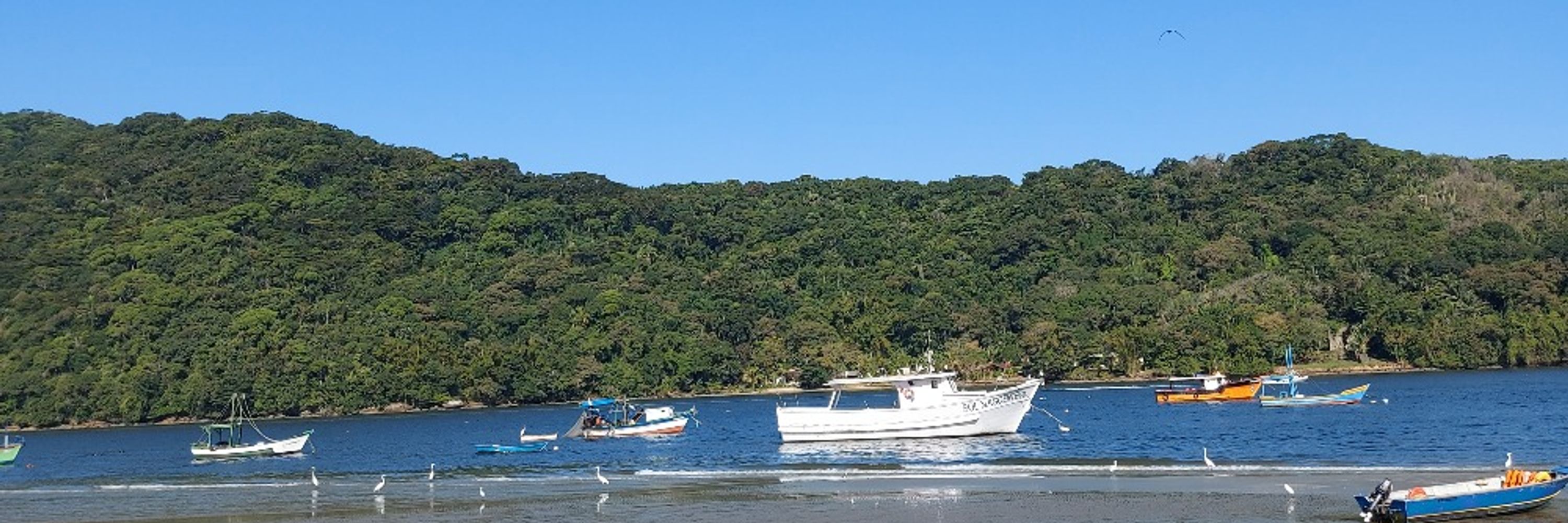 Meu escritório continua na praia