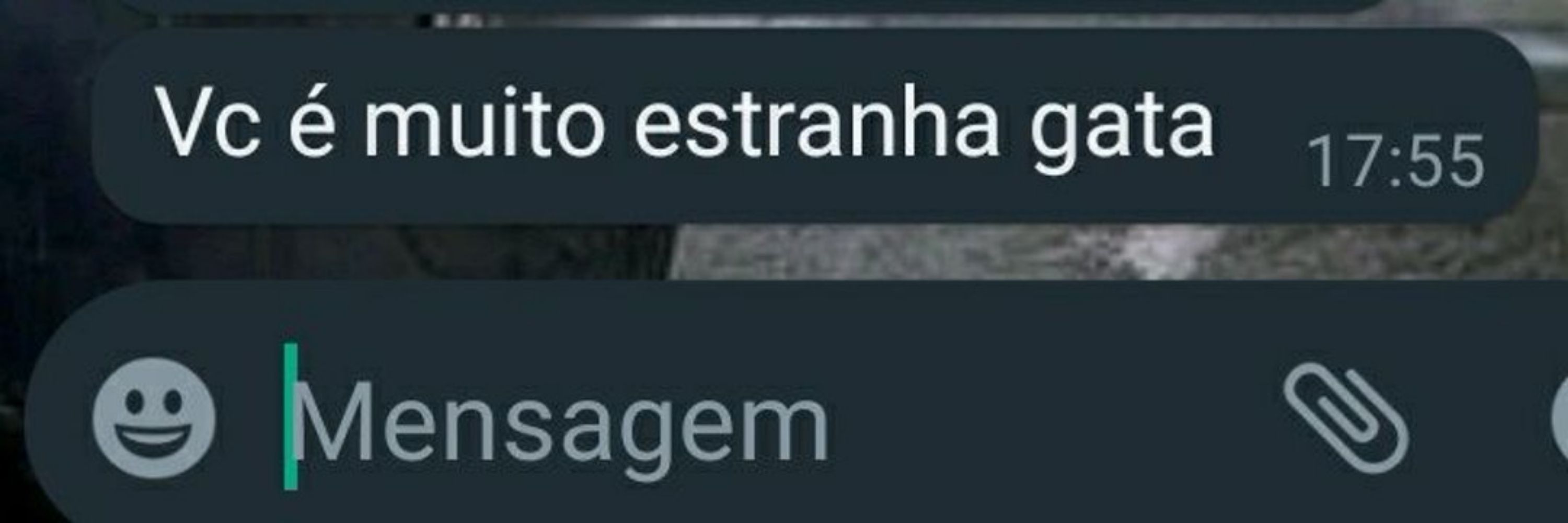sofisofi ruindade pura