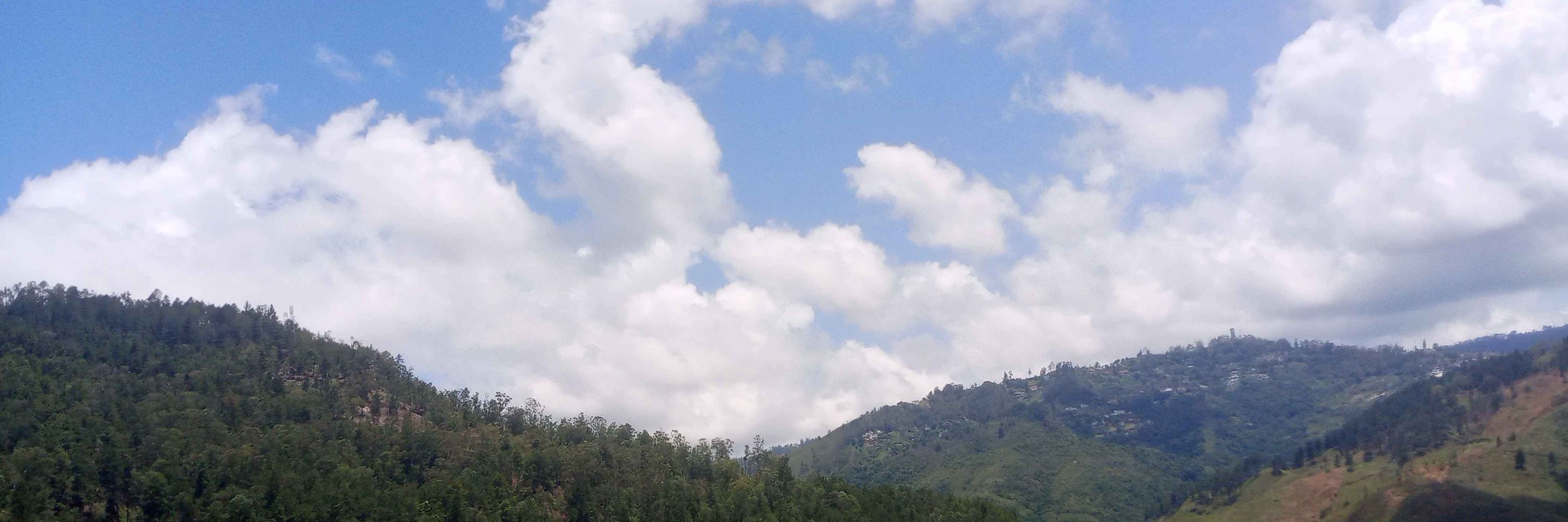 Sabi