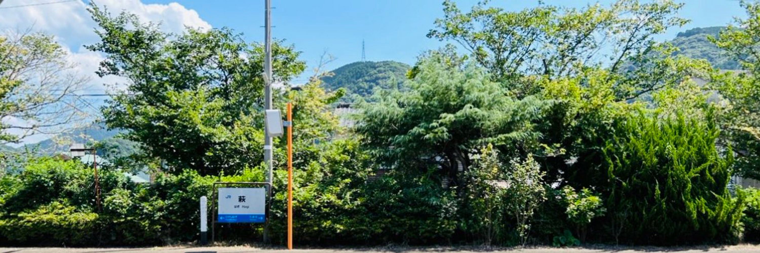 椋野