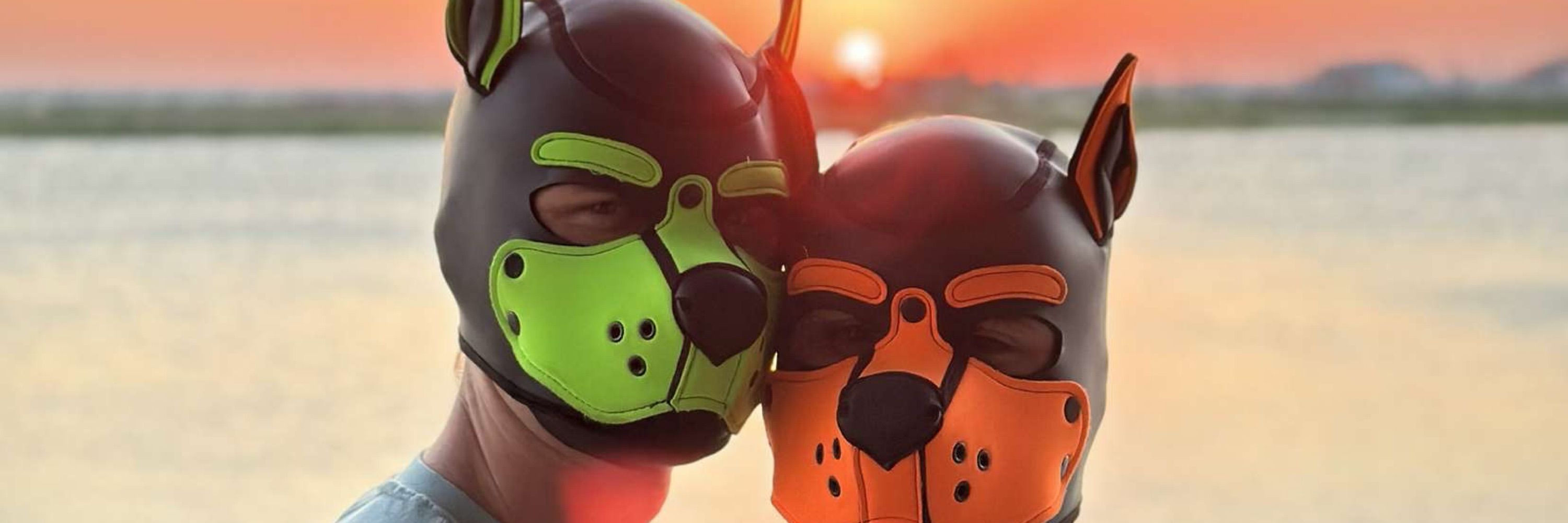Pup Capy