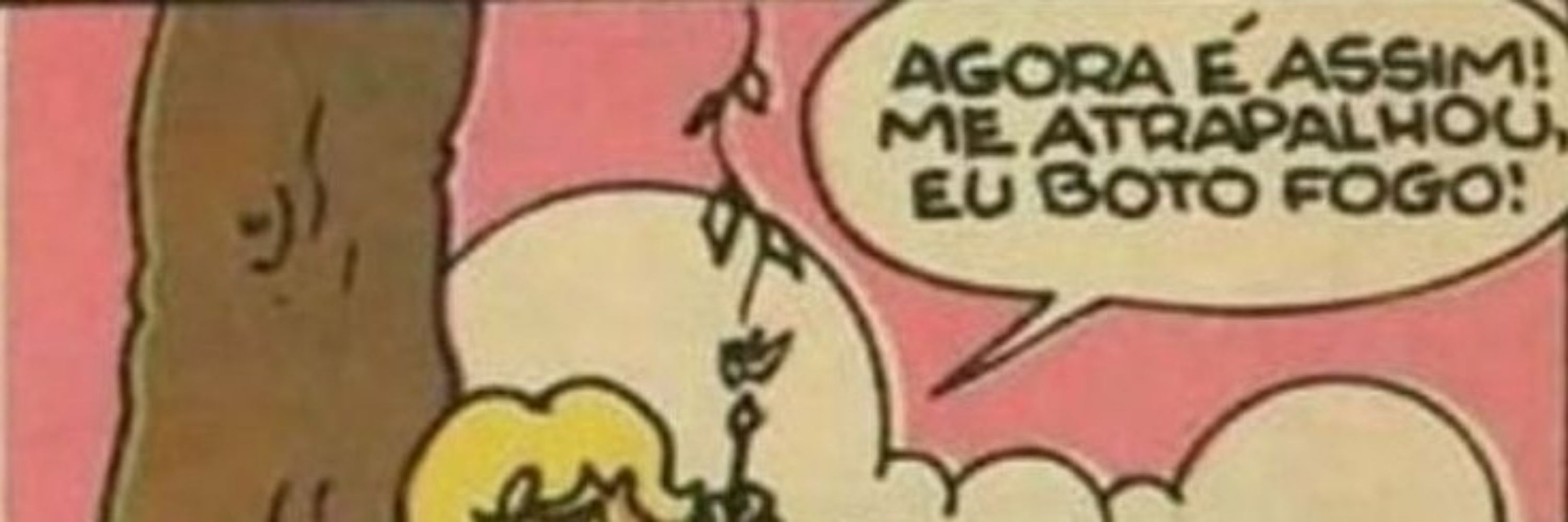 viúva do twitter 