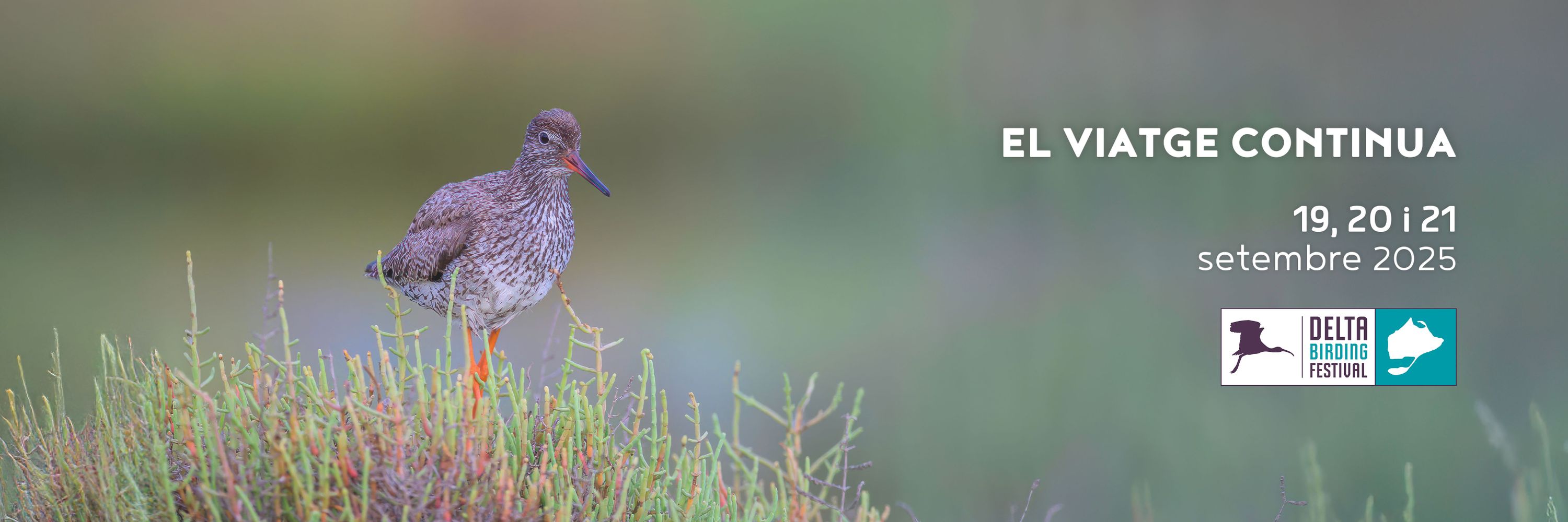 Delta Birding Festival