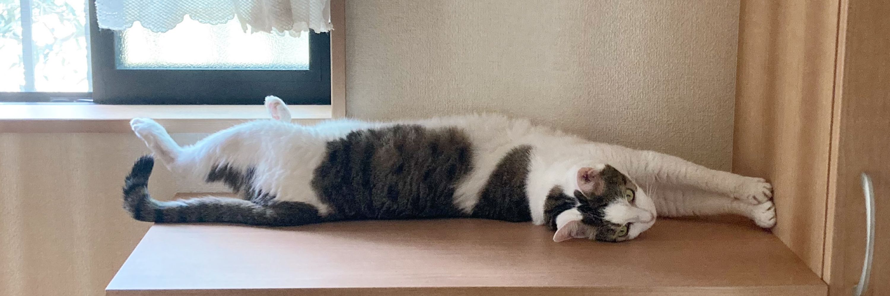 はっさく