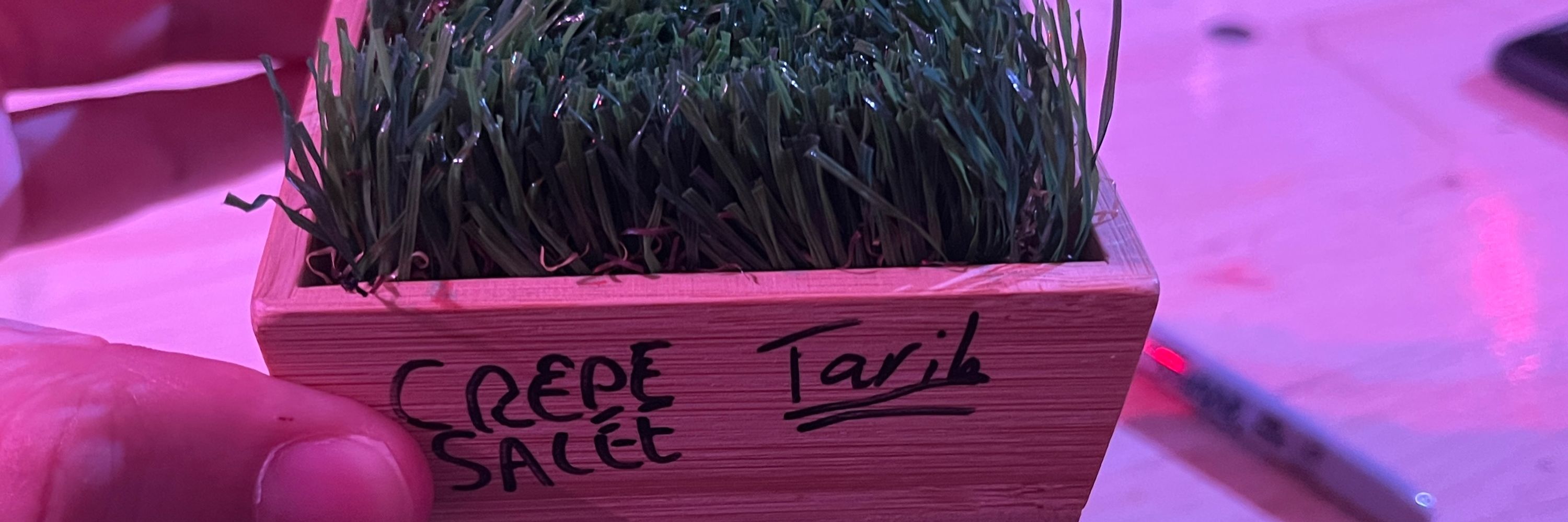 Tarik
