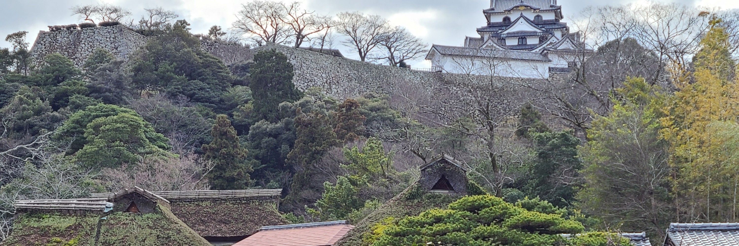 オオハシ