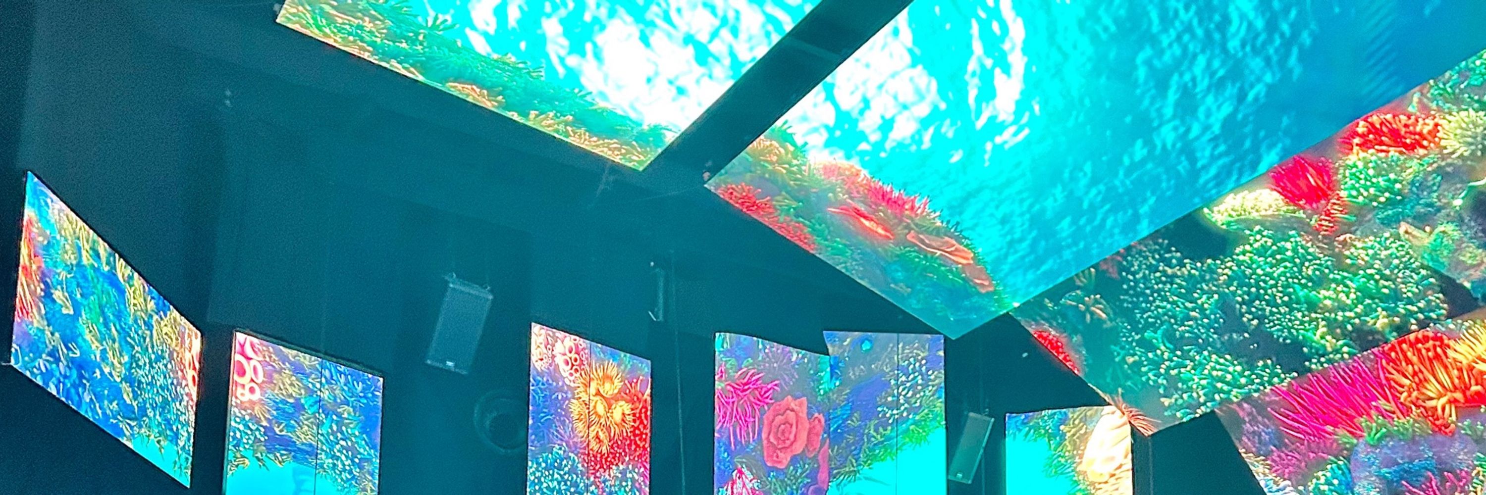 白湯