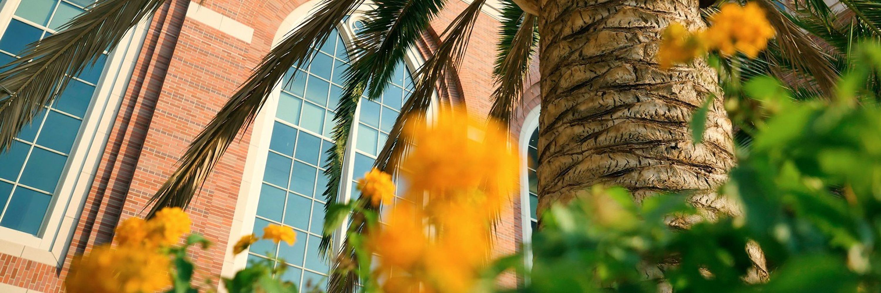 Institute for Advanced Catholic Studies at USC