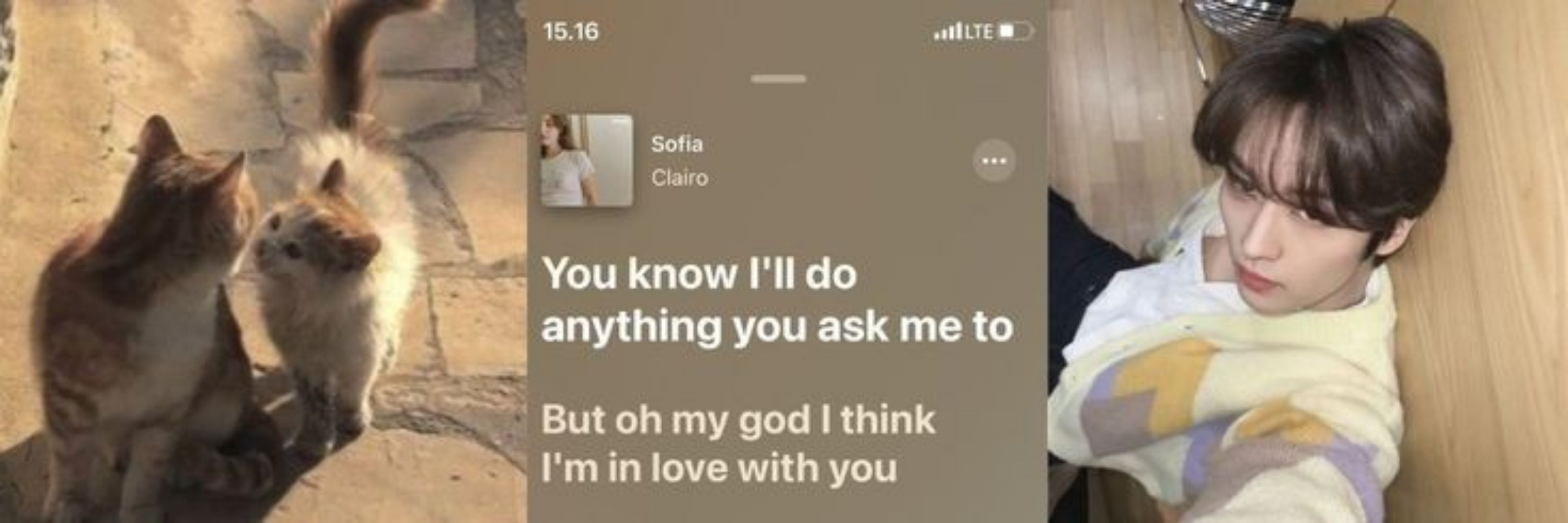 Thay! 💗(leeminho's gf) 