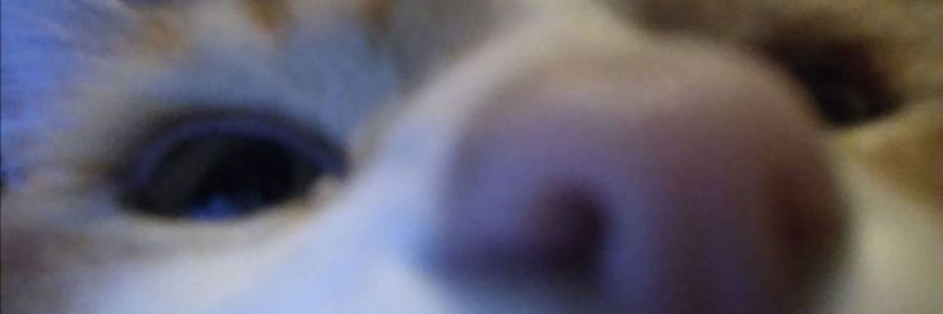 gabizinhss