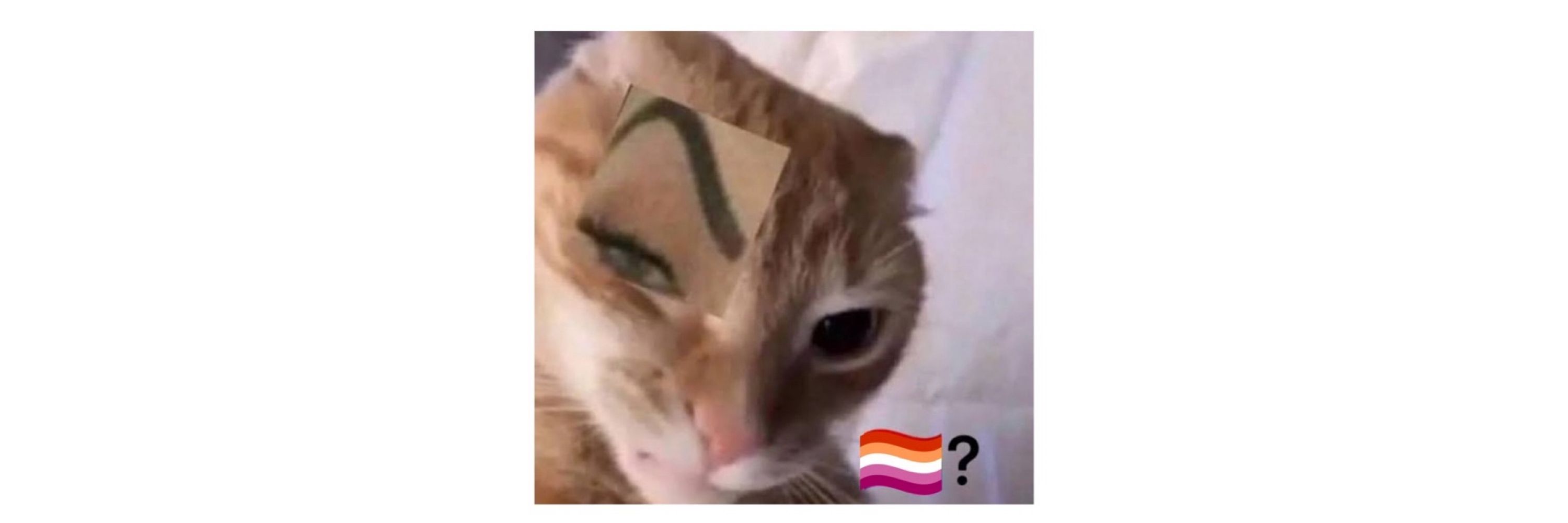 bhia
