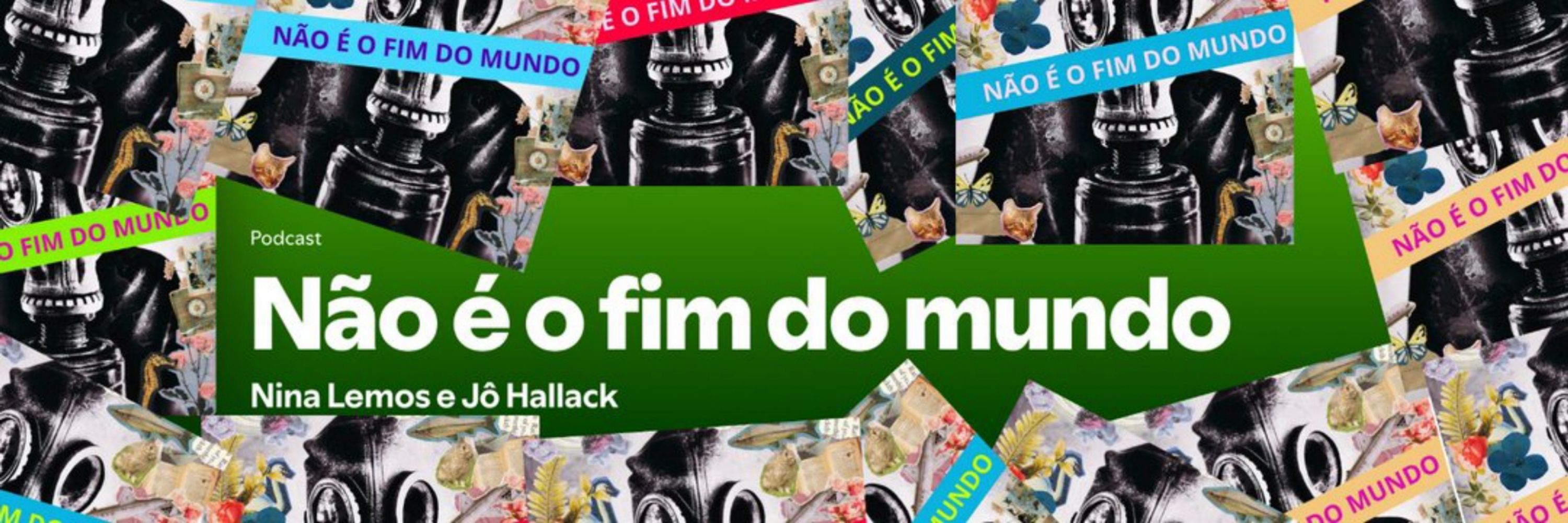 Jô Hallack