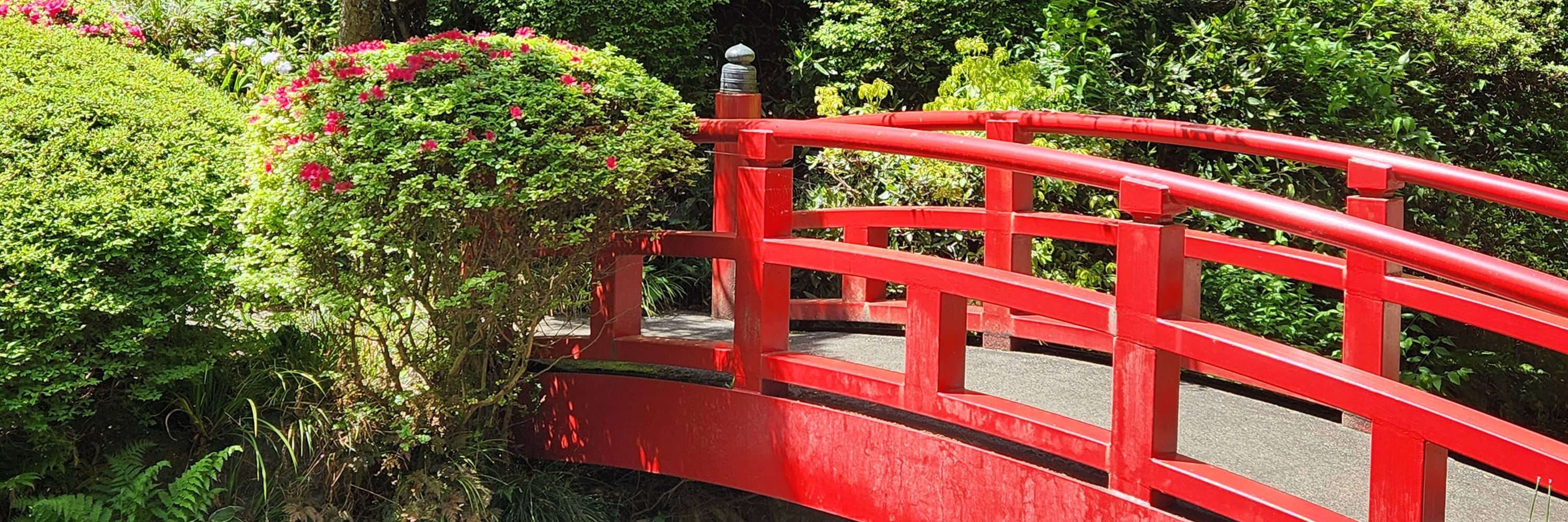 琉華_夢垢