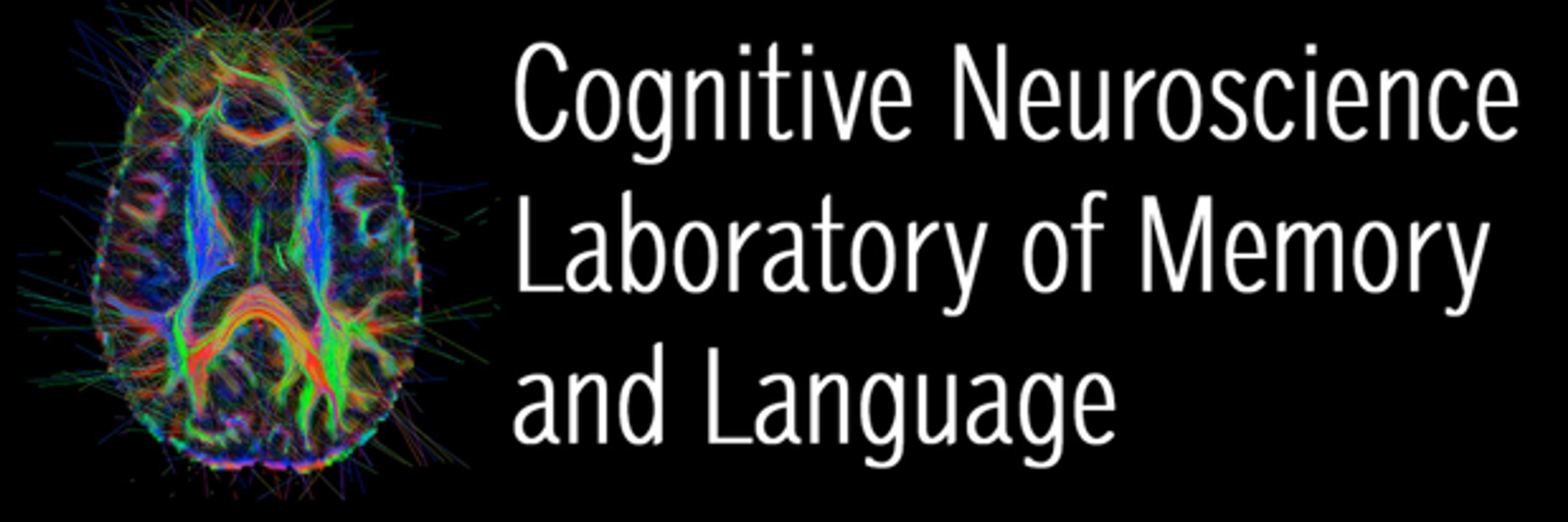 UTDNeurolab