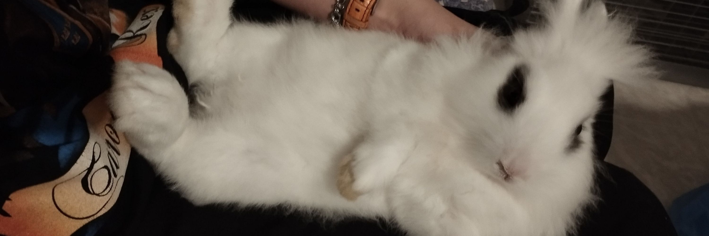 Poofy