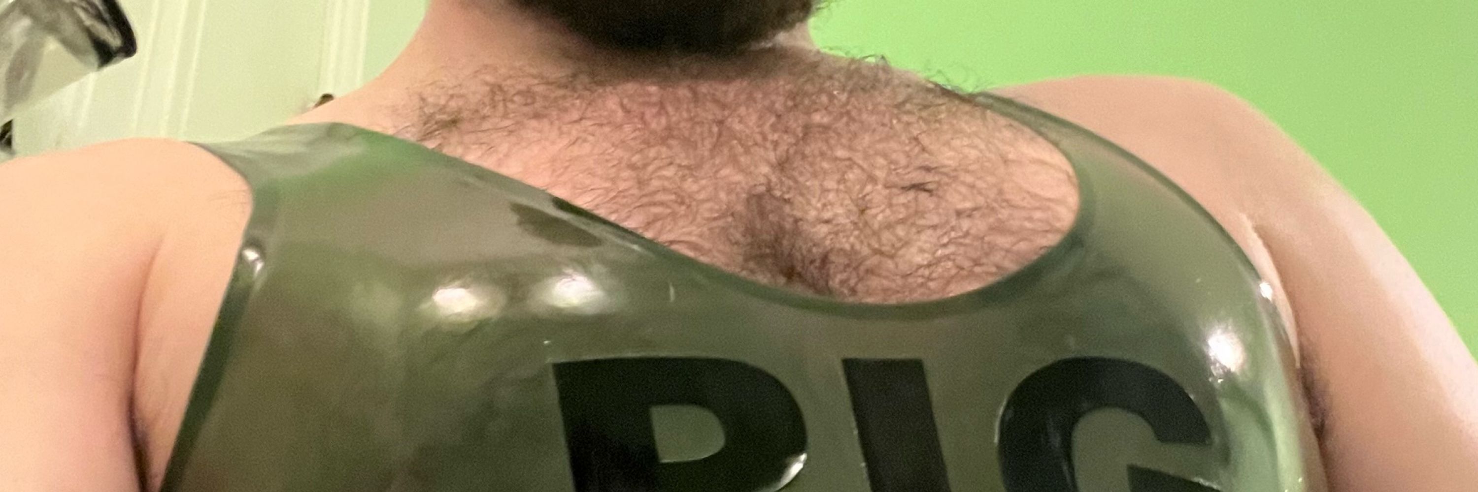 Pig Dom 🐽 in Chicago!